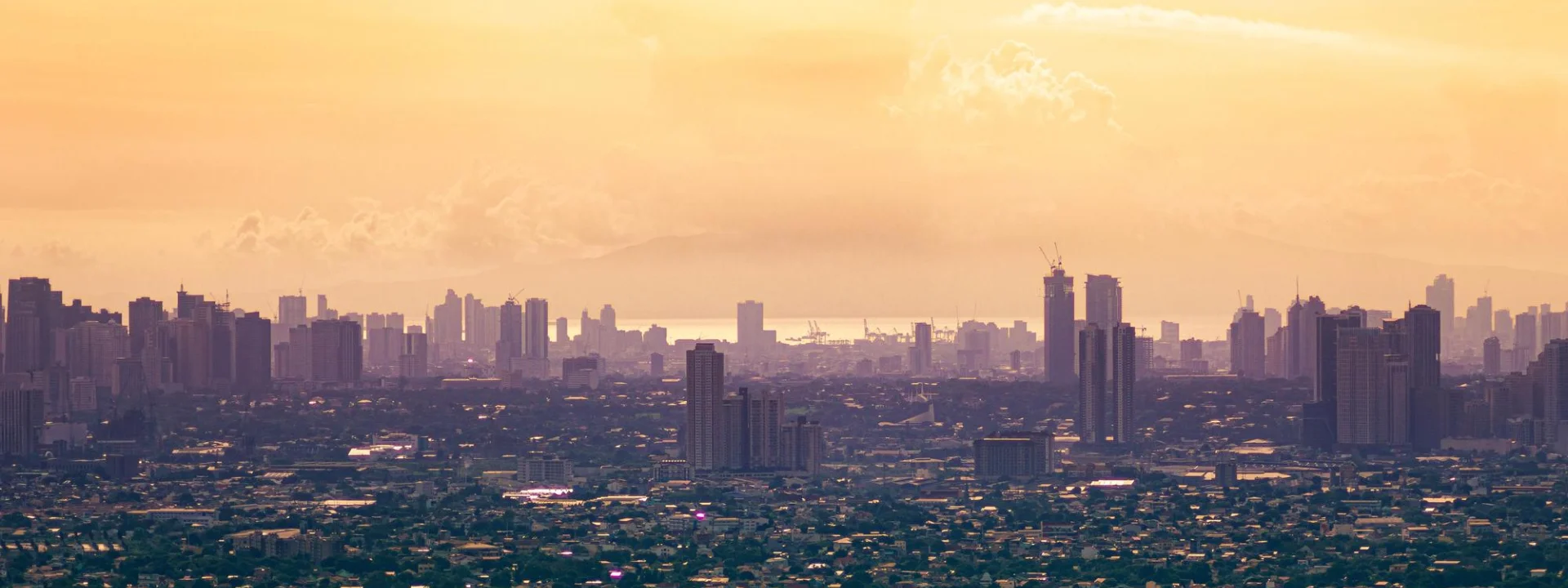 About Developer Image